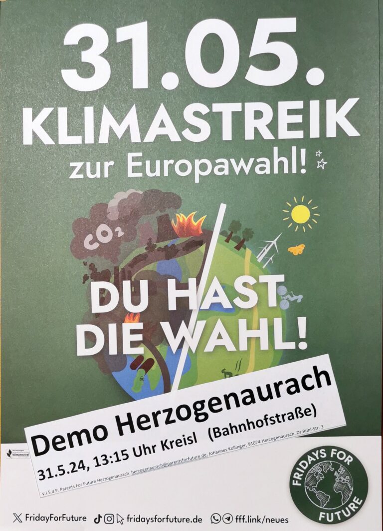 FFF Klimastreik – 31. Mai